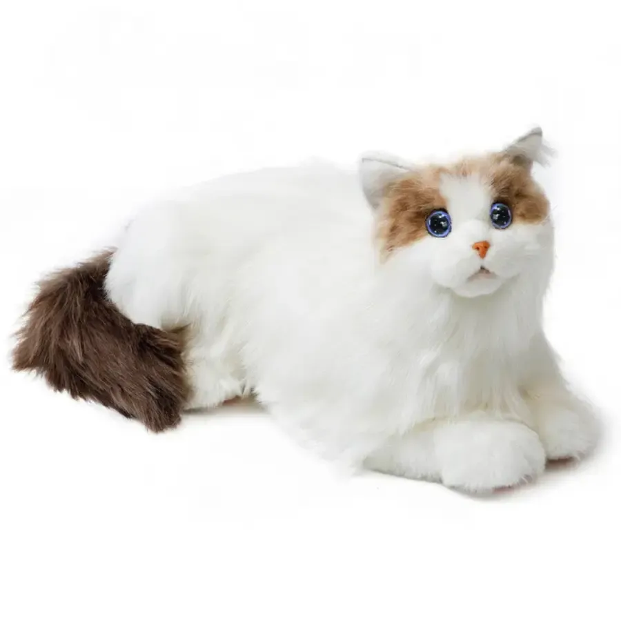 Metacat Companion Robot — Jetayu Gadgets