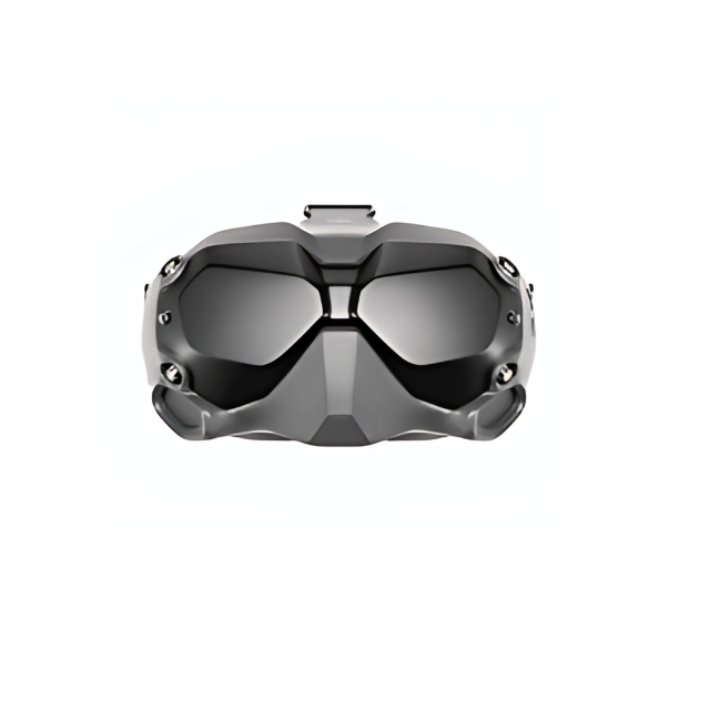 DJI FPV Goggles V2